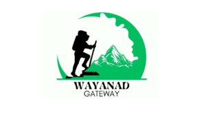 Best Digital Marketing Agency in Kerala